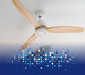 Ceiling Fans